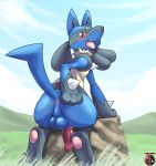  2016 animal_genitalia animal_penis anthro anus backsack balls blue_balls blue_body blue_fur blush butt canid canine canine_penis day digital_media_(artwork) erection fur gloves_(marking) kivwolf knot leg_markings looking_back lucario male mammal markings multicolored_body multicolored_fur nintendo nude open_mouth outside pawpads penis perineum pok&eacute;mon pok&eacute;mon_(species) presenting presenting_hindquarters rear_view sky socks_(marking) solo tongue tongue_out video_games yellow_body yellow_fur 