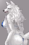  absurd_res anthro bikini black_nose blue_eyes breasts butt canid canine canis clothed clothing female fur hi_res inner_ear_fluff kemono looking_back mammal open_mouth solo swimwear teeth tuft white_body white_fur wolf ギムザ 