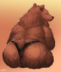  ambiguous_gender anthro anus big_butt black_nose brown_bear brown_body brown_fur butt clothed clothing female fur hi_res looking_back mammal slightly_chubby solo topless underwear ursid ursine ギムザ 