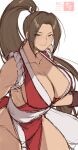  1girl bare_shoulders belt breasts brown_eyes brown_hair cleavage collarbone cowboy_shot dress fatal_fury hair_tie large_breasts light_smile long_hair looking_at_viewer motoyui ninja parted_bangs pelvic_curtain ponytail red_dress revealing_clothes rope shiranui_mai sideboob signature solo the_king_of_fighters white_background white_belt yasunososaku 