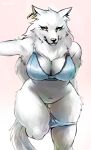  anthro bra breasts canid canine canis clothed clothing ear_piercing female fur hi_res kemono mammal navel piercing solo underwear undressing white_body white_fur wolf ギムザ 