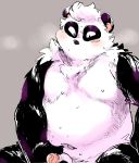  2017 anthro belly black_body black_fur blush bodily_fluids fur giant_panda humanoid_hands konbu male mammal moobs navel overweight overweight_male penis solo sweat ursid white_body white_fur 