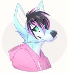  2016 anthro black_hair black_nose blue_body blue_fur canid canine canis clothing digital_media_(artwork) domestic_dog fur green_eyes hair hi_res hoodie husky mammal nordic_sled_dog pink_hair pink_hoodie senimasan simple_background spitz topwear white_background 