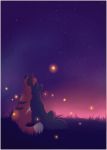 2017 ambiguous_gender canid canine canis detailed_background digital_media_(artwork) duo feral fox grass hi_res mammal night outside senimasan sitting sky star starry_sky wolf 