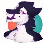  2016 black_body black_fur digital_media_(artwork) fur hi_res open_mouth purple_tongue senimasan sergal teeth tongue white_body white_fur 