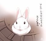  2016 ichthy0stega japanese_text lagomorph leporid mammal rabbit text translation_request 