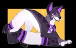  2016 4_toes ambiguous_gender black_body black_fur canid canine canis digital_media_(artwork) domestic_dog feral fur mammal purple_eyes senimasan simple_background solo toes white_body white_fur 