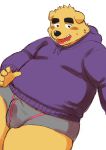  2019 anthro blush bulge canid canine canis clothing domestic_dog erection erection_under_clothing hoodie humanoid_hands kick_(artist) male mammal overweight overweight_male simple_background solo topwear underwear white_background 