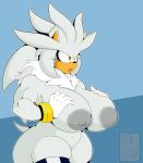  absurd_res anthro big_breasts big_butt breasts butt clothing crossgender eulipotyphlan female hedgehog hi_res huge_breasts huge_butt legwear mammal mklancer00 muscular muscular_female navel nipples nude silver_the_hedgehog solo sonic_(series) thigh_highs 
