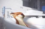  12-9 12-9_(character) anthro bathroom bathtub brown_body brown_fur canid canine detailed detailed_background ears_back eyes_closed fox fur hi_res inside light lighting mammal mirror nude partially_submerged pivoted_ears reclining reflection shadow smile solo towel water white_body white_fur 