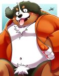  2019 anthro belly bernese_mountain_dog blush canid canine canis clothing domestic_dog hoodie humanoid_hands male mammal molosser moobs mountain_dog navel overweight overweight_male penis pubes solo swiss_mountain_dog takkusk tongue tongue_out topwear 