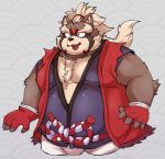  2019 anthro aretna belly bottomwear brown_body brown_fur bulge canid canine clothing fur goemon_(tas) hi_res humanoid_hands male mammal overweight overweight_male raccoon_dog robe shorts solo tanuki tokyo_afterschool_summoners video_games 