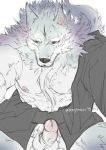  2019 abs anthro balls beard biceps canid canine canis facial_hair fur grey_body grey_fur humanoid_penis law_(sdorica_sunset) male mammal multicolored_body multicolored_fur muscular muscular_male nipples orenjimaru pecs penis sdorica sdorica_sunset signature simple_background solo two_tone_body two_tone_fur white_background white_body white_fur wolf 