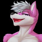  1:1 2019 absurd_res anthro black_background black_nose canid canine fangs fur hair hi_res looking_at_viewer makarimorph male mammal multicolored_body multicolored_fur open_mouth pink_body pink_eyes pink_fur portrait silver_hair simple_background smile solo teeth tongue white_body white_fur 