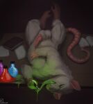 2023 animal_genitalia animal_penis artist_logo artist_name balls book buckteeth dated digital_media_(artwork) drinking erection feral fur furniture genitals green_liquid green_tongue grey_balls grey_body grey_fur hi_res inside intet kazzyboii logo lying male male_feral mammal murid murine on_back on_table paper paws penis potion potion_bottle quadruped rat rat_tail rodent rodent_penis sheath solo table tail teeth text tongue tongue_out