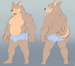  2016 anthro belly bulge canid canine canis clothing domestic_dog gku hi_res humanoid_hands male mammal navel simple_background slightly_chubby solo underwear 