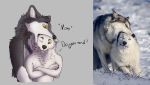  2019 5_fingers anthro canid canine canis crossed_arms ctahrpoe dialogue digital_media_(artwork) english_text fingers fur grey_body grey_fur hi_res mammal meme nom real simple_background sound_effects text white_body white_fur wolf 