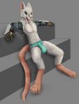  2019 anthro bedethingy bulge clothing digital_media_(artwork) fur grey_body grey_fur hi_res male mammal murid murine open_mouth penis rat rodent simple_background smile solo tongue tongue_out underwear 