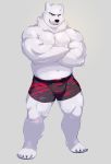  2019 anthro belly black_nose bulge clothing fur male mammal merdekyle7 merfiller_(artist) simple_background slightly_chubby solo underwear ursid white_body white_fur 