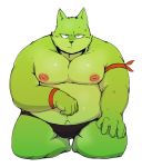  2019 anthro aretna belly black_nose canid canine clothing fur green_body green_fur hi_res humanoid_hands male mammal moobs nipples overweight overweight_male pubes simple_background solo underwear white_background 