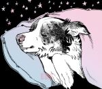 0ct0m0n0 ambiguous_feral ambiguous_gender artist_name black_body black_fur black_nose canid canine canis cheek_tuft claws domestic_dog eyes_closed facial_tuft feral fur mammal mouth_closed neck_tuft pattern_background pillow pink_nose simple_background sleeping solo star text tuft under_blanket white_body white_fur