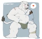  &lt;3 2019 anthro belly blush bulge clothing felid fur hagom hi_res humanoid_hands lion male mammal overweight overweight_male pantherine scar simple_background solo underwear white_body white_fur 