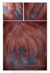  2017 5_fingers ambiguous_gender blue_body blue_scales bodily_fluids border claws comic digital_drawing_(artwork) digital_media_(artwork) dragon duo eyes_closed feral fingers fur hi_res hida horn internal lying macro male male/ambiguous male_prey mammal membrane_(anatomy) membranous_wings micro multiple_scenes on_back oral oral_vore quadruped saliva scales scalie scared shorty-antics-27 side_view signature sitting size_difference size_play smaller_male soft_vore solo_focus stomach tears text three-quarter_view uvula vore watermark western_dragon wet white_body white_border white_fur wings 