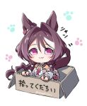  1girl :3 animal_ears ascot blush box brown_hair brown_sailor_collar cardboard cardboard_box chibi dress for_adoption hair_between_eyes highres horse_ears horse_girl horse_tail in_box in_container long_hair looking_at_viewer paw_print paw_print_background pink_dress pink_eyes sailor_collar sakura_chitose_o_(umamusume) smile solo tail takoyaki_(takoyaki_draw) umamusume white_ascot 