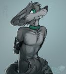  2019 anthro arms_tied balls bdsm biped black_nose bondage bound canid canine collar convenient_censorship countershade_torso countershading covering fennec fluffy fox fur gradient_background green_eyes grey_background grey_body grey_countershading grey_fur half-closed_eyes half-length_portrait hands_behind_back hi_res idoodle2draw inner_ear_fluff kneeling light_bondage luku male mammal nude penis portrait signature simple_background sketch solo submissive submissive_male tail_censorship three-quarter_portrait tuft whiskers 