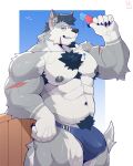 2025 4:5 abs against_fence against_surface anthro areola arm_scar armpit_hair barazoku biceps big_muscles blue_hair blue_sky body_hair border bulge canid canine canis chest_hair chin_scar claws dachrom deltoids facial_hair fence finger_claws food forearm_muscles fur goatee grey_areola grey_body grey_fur grey_nipples grin hair hi_res holding_food holding_object holding_popsicle inner_ear_fluff leaning_against_object leaning_agaisnt_fence looking_at_viewer male mammal muscular muscular_anthro muscular_male navel nipples obliques pecs popsicle pubes scar seikoarts sky smile solo tail tuft vein veiny_muscles white_body white_border white_fur white_inner_ear_fluff wolf yellow_eyes
