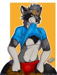  2019 absurd_res anthro blush bulge clothed clothing digital_media_(artwork) eyewear goggles hi_res kandox_tekzer looking_at_viewer male mammal pose procyonid raccoon shanukk smile solo underwear 