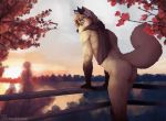  2019 anthro athletic autumn black_body black_fur black_nose blonde_hair butt canid canine detailed_background ear_piercing ear_ring eyebrows eyewear fence fluffy fur glasses hair hi_res horn inner_ear_fluff leaning leaning_forward looking_at_viewer looking_back male mammal maned_wolf monochrome mostly_nude naruka neck_tuft painting piercing pink_eyes railing raised_inner_eyebrows raised_tail river scarf scarf_only signature solo sun tan_body tan_fur tree tuft watermark 