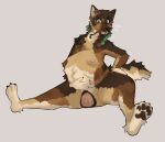 4_toes 5_fingers amniotic_fluid anthro belly_nipples birth black_nose black_pawpads bodily_fluids brown_body brown_fur canid canine canis crowning domestic_dog feet female fingers fur genital_fluids genitals german_shepherd herding_dog hi_res hindpaw humanoid_hands kennedy_(punkt.punkk) live_birth mammal nipples nude nude_anthro nude_female pastoral_dog pawpads paws pregnant pregnant_anthro pregnant_female solo toes trailofanimals vaginal_birth vulva