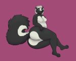  2019 2d_animation 5_fingers absurd_res animated animated_png anthro anus belly big_butt black_body black_fur black_nose bloated_belly blue_eyes blush bodily_fluids breasts butt echo10 eyebrows fart fart_fetish featureless_breasts female fingers fluffy fluffy_tail frame_by_frame fur hair hi_res looking_at_viewer looking_pleasured loop lying mammal mephitid on_side one_eye_closed paws pink_background pussy rear_view relief rumbling_stomach simple_background skunk skunk_spray solo sweat white_hair 