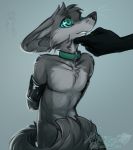  2019 ambiguous_gender animal_genitalia anthro arms_tied balls bdsm black_body black_nose black_scales bondage bound canid canine collar convenient_censorship countershade_torso countershading covering disembodied_hand faceless_ambiguous fennec fluffy fox fur gradient_background green_eyes grey_background grey_body grey_countershading grey_fur half-closed_eyes half-length_portrait hand_on_chin hands_behind_back hi_res hypnosis idoodle2draw inner_ear_fluff kneeling light_bondage luku male mammal mind_control nude penis portrait scales scalie sheath signature simple_background sketch solo_focus spiral_eyes submissive submissive_male tail_censorship three-quarter_portrait tuft whiskers 