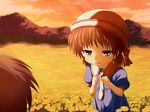  1girl bad_id bad_pixiv_id brown_eyes brown_hair child clannad dress field flower flower_field hat mokyutan okazaki_tomoya okazaki_ushio sailor_dress school_uniform short_hair sunset 