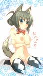  animal_ears bb blue_eyes blush breasts censored large_breasts nipples pussy tail 