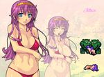  2boys athena_(series) bikini blush breasts cleavage hetero large_breasts long_hair multiple_boys multiple_penises open_mouth orc penis pixel_art princess_athena purple_hair red_bikini sex snk solo_focus spitroast swimsuit torn_clothes yoko_juusuke zoom_layer 