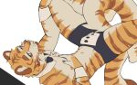 2026 anthro athletic athletic_anthro athletic_male black_bow_tie black_boxer_briefs black_clothing black_underwear blue_eyes bow_collar bow_tie boxer_briefs brown_body brown_fur bulge cheek_tuft chest_tuft clothing countershade_arms countershade_face countershade_fur countershade_legs countershade_torso countershading cuffs_(clothing) digital_drawing_(artwork) digital_media_(artwork) facial_tuft felid fur head_tuft kingu looking_at_viewer male mammal mostly_nude mostly_nude_anthro mostly_nude_male multicolored_body multicolored_fur navel neck_tuft nipples orange_body orange_fur pantherine simple_background solo striped_body striped_fur stripes tail tail_between_legs tiger tuft tuxedo_underwear underwear upside_down white_background white_body white_countershading white_fur