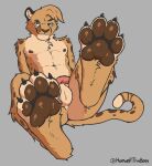 anthro athletic brown_pawpads cheetah feet felid feline flaccid foot_fetish foot_focus genitals howellthabear leaning leaning_backward male mammal pawpads paws penis presenting sitting smile smiling_at_viewer smirk smirking_at_viewer solo tail