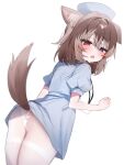  1girl animal_ear_fluff animal_ears artist_request blue_dress blue_eyes blue_hat blush brown_hair brown_tail clenched_hand collared_dress commentary_request crossed_bangs dog_ears dog_girl dog_tail dress droopy_ears fang from_behind hair_between_eyes half-closed_eyes hand_up hasuki_rui hat heterochromia highres id_card indie_virtual_youtuber lanyard lifted_by_tail looking_at_viewer looking_back nurse_cap one_ear_down panties pantyhose pantyshot puffy_sleeves red_eyes second-party_source see-through_clothes see-through_pantyhose short_hair short_sleeves sidelocks simple_background solo sweat tail tail_raised turning_head underwear virtual_youtuber wavy_mouth white_background white_panties 