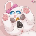 1:1 2026 animal_genitalia animal_vulva anus bell bell_collar belly_nipples black_vulva blep blue_eyes bow_ribbon butt canid canine canine_genitalia canine_vulva canis collar digital_drawing_(artwork) digital_media_(artwork) domestic_dog feet female female_feral feral genitals hindpaw mammal one_ear_up pankata pankatares paws presenting presenting_anus presenting_hindquarters presenting_vulva quadruped raised_leg shaded shadow signature simple_background soft_shading solo tail tan_background tongue tongue_out vulva