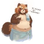  2019 anthro belly blush brown_body brown_fur canid canine chinese_text fur gyobu humanoid_hands male mammal moobs navel overweight overweight_male raccoon_dog scar solo tanuki text tokyo_afterschool_summoners towel video_games 咒皓@摸鱼账号 
