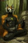  2019 ailurid anthro biped black_nose clothed clothing detailed_background digital_media_(artwork) eyes_closed fur hi_res honovy male mammal meditating muscular nipples outside partran_(red_panda) red_panda sitting solo 