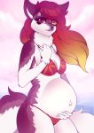  anthro belly big_belly canid canine clothing female fox heterochromia mammal pregnant sea smile solo summer swimwear water yasuokakitsune 