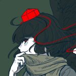  1girl black_hair brown_scarf commentary_request green_background hat korean_commentary light_blush looking_at_viewer lovelobten pom_pom_(clothes) red_eyes red_hat scarf shameimaru_aya short_hair smile solo tengu tokin_hat touhou 