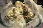  1boy 1girl absurdres alkaid_mcgrath alkaid_mcgrath_(until_the_end_of_time) angel_wings ascot black_feathers black_hair black_jacket black_vest blonde_hair blurry bracelet chinese_commentary closed_mouth commentary_request constellation crown depth_of_field dress earrings eye_contact falling_feathers feather_hair_ornament feathered_wings feathers feet_out_of_frame frilled_sleeves frills frown gem gown green_eyes green_gem hair_between_eyes hair_ornament half_updo hand_on_another's_back head_chain heroine_(lovebrush_chronicles) highres holding_another's_arm jacket jewelry lapels long_hair long_sleeves looking_at_another lovebrush_chronicles multiple_rings notched_lapels parted_bangs parted_lips pearl_bracelet picture_frame profile purple_eyes ring risehuixuan see-through_clothes see-through_veil standing star_(symbol) star_earrings veil very_long_hair vest wavy_hair white_ascot white_dress white_veil wings 