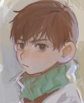  1boy :/ brown_eyes brown_hair chilchuck_tims closed_mouth commentary_request dungeon_meshi green_scarf looking_at_viewer male_focus parted_hair portrait scarf shirt solo twitter_username white_shirt yu_(zatta13chan) 