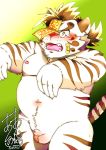  2019 anthro balls belly blush bumomomoboa eyewear felid flaccid fur glasses hi_res humanoid_hands licho_(tas) male mammal moobs navel nipples overweight overweight_male pantherine penis simple_background solo text tiger tokyo_afterschool_summoners video_games white_body white_fur 