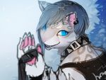  4:3 ambiguous_gender anthro blue_eyes clothed clothing collar fangs felid fur grey_body grey_fur hair hi_res holding_object leopard_spots liki looking_at_viewer looking_back mammal pantherine pawpads piercing slit_pupils snow_leopard solo spots 